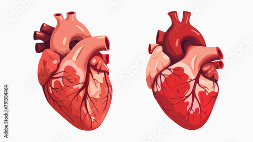 Real heart realistic internal human organ with blood