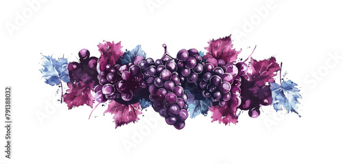 Wine. Grapes. Logo, label. vector simple illustration