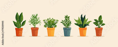 Potted plants vector collection on white background.. vector simple illustration