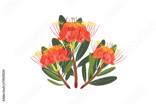 Vibrant Red Paintbrush Flowers. Vector illustration design. photo