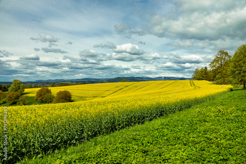 Eine kleine Wanderung auf den Höhenweg der Stadt Schmalkalden mit typischen Aprilwetter - Thüringen - Deutschland Eine kleine Wanderung auf den Höhenweg der Stadt Schmalkalden mit typischen Aprilwetter - Thüringen - Deutschland