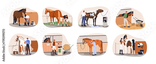 Horse grooming and equine care at stable. Brushing, washing stallion, professional horseshoeing, hoof cleaning and filing, vet checkup set. Flat vector illustration isolated on white background