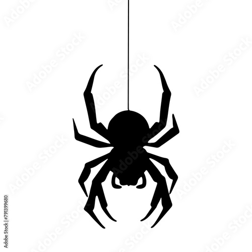 Spider hanging on thread. Halloween illustration isolated on white background. Black silhouette, arachnophobia symbol