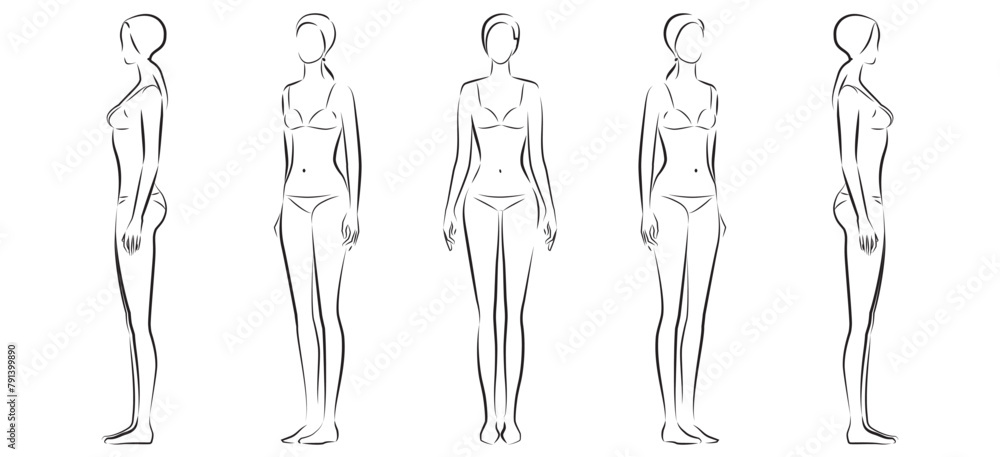 Obraz premium Woman body. Full-length standing portrait. Set of body-positive female. Five angles figure front, 3 of 4, side views shape. Vector fashion silhouette outline line illustration