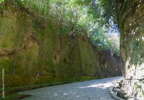 人工的な道 猿島