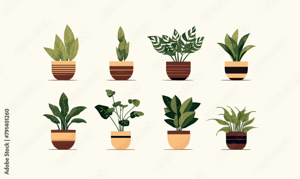 A set of potted plants in various sizes and shapes A set of potted plants in various sizes and shapes