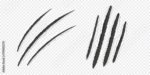 Scratch mark claw trace wild animal nails scratches textured torn paper edge on transparent background. Fancy cat, tiger, lion paw trace
