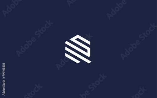 letter qs with hexagon logo icon design vector design template inspiration