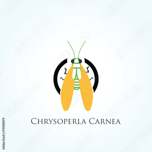 chrysoperla carnea insects agricultural farm abstract fly mosquitoes in Modern Creative Minimal Style Lettering Vector Typographic Designs