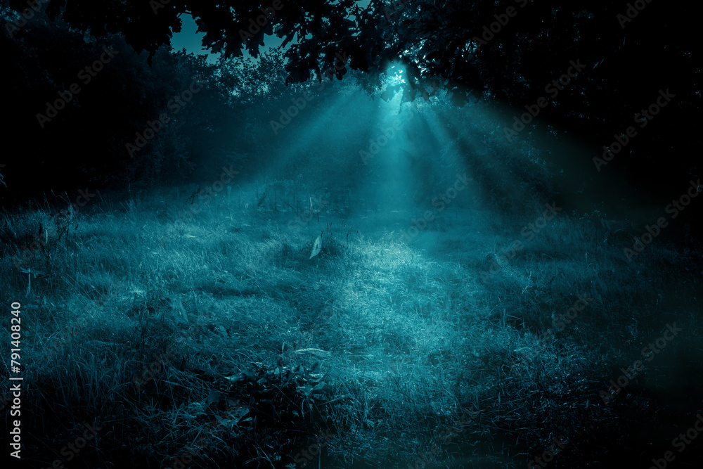Mysterious moonlight through the fog and tree branches over dreamy grass meadow in the autumn forest. Spooky Halloween backdrop in blue cold tones.