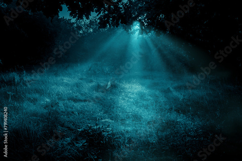 Mysterious moonlight through the fog and tree branches over dreamy grass meadow in the autumn forest. Spooky Halloween backdrop in blue cold tones. © stone36