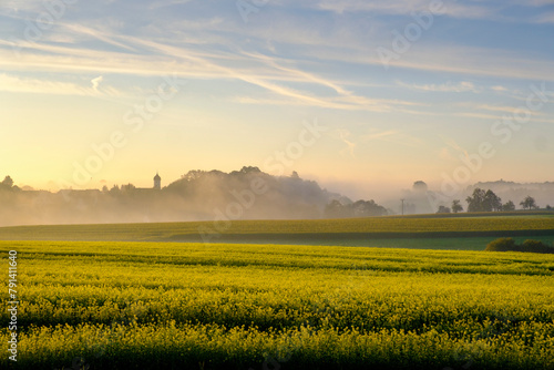 Germany, Baden-Wurttemberg, Uigendorf, Vast summer meadow at foggy dawn