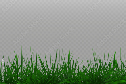 Grass border, vector illustration. Vector grass, lawn. Grass png, lawn png. Green grass with sun glare.	
