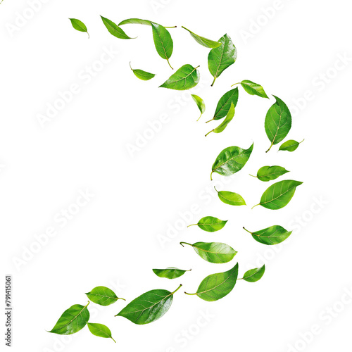 Green Leaves falling in middle of the air © Natural PNG