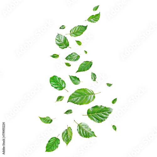 Green Leaves flying in middle of the air