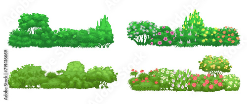 Green garden hedge. Cartoon bush borders. Blooming plant composition. Natural flowering shrubs. Shrubbery trees. Foliage leaves. Decorative botanical landscape elements. Splendid vector set