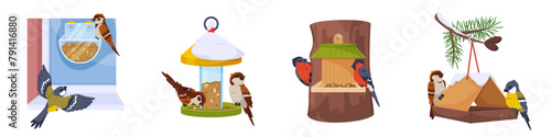 Feeders with birds. Sparrows, tits and bullfinches peck at grain. Different birdhouse shapes hanging containers and boxes with food. Animal shelters. Park birdwatching. Recent vector set