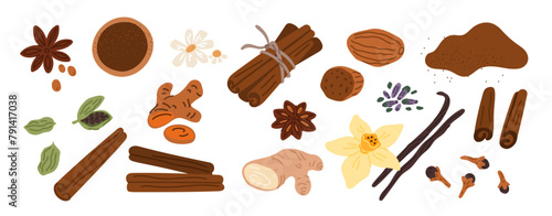Dry spices. Fragrant cuisine ingredients. Aromatic roots. Anise seeds. Cinnamon bark. Vanilla flower. Turmeric and ginger. Nutmeg spicy powder. Cooking condiment. Garish vector set