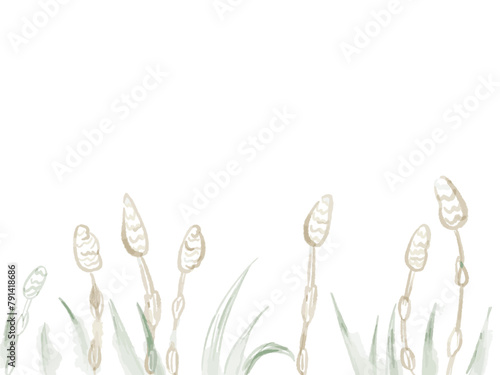 つくしと葉っぱの手描きイラスト