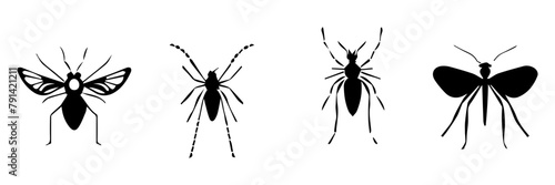 silhouette of insect