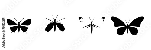 black and white silhouettes of insect