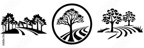 black and white background