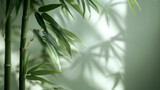 Soft light filters through the lush green leaves of bamboo, giving a tranquil and refreshing ambiance to the space.
