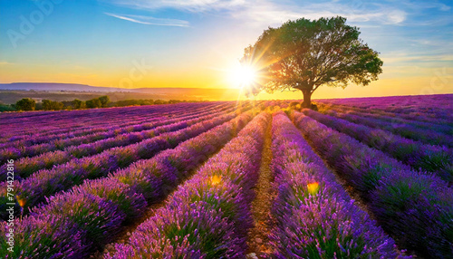 Field of blooming purple lavender with sunbeams behind a tree at sunset or sunrise in a sunny summer day. Generative Ai.