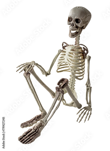 squelette humain en position assis sur fond transparent
