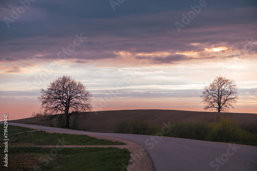 Spring sunset sky landscape with asphalt country road curve and tree silhouettes in Latvia