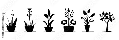 illustration of a plant in vase