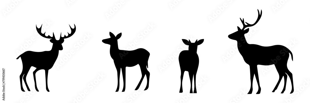 Obraz premium silhouette of a deer