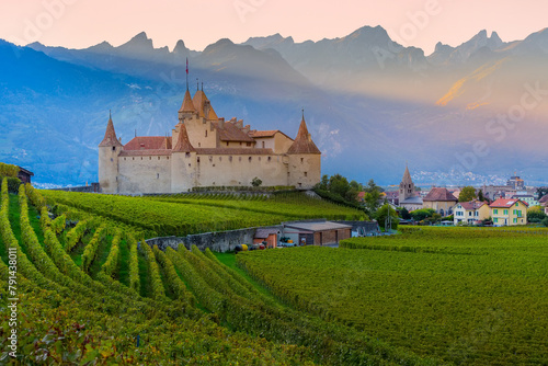 Chateau d'Aigle in canton Vaud, Switzerland photo