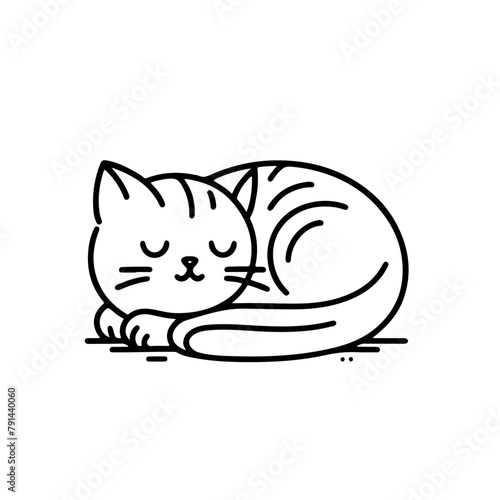 
The tabby cat is sleeping. 
