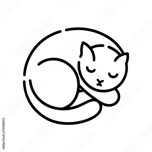 a sleeping cat from top view