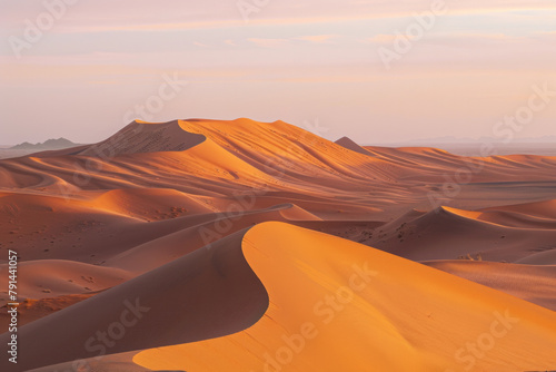 The undulating curves of desert sand dunes at dusk, with soft golden light casting long shadows © grey