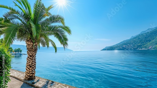A beautiful view of the sea with a palm tree on a sunny day  offering a tranquil and picturesque scene