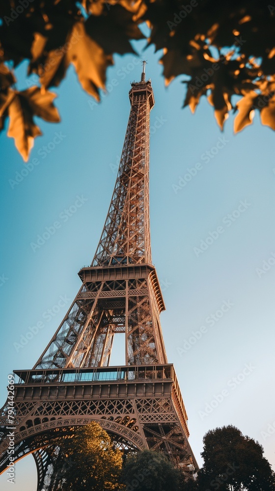 A vertical image of the Eiffel Tower is partially obscured by the leaves and branches of several trees.