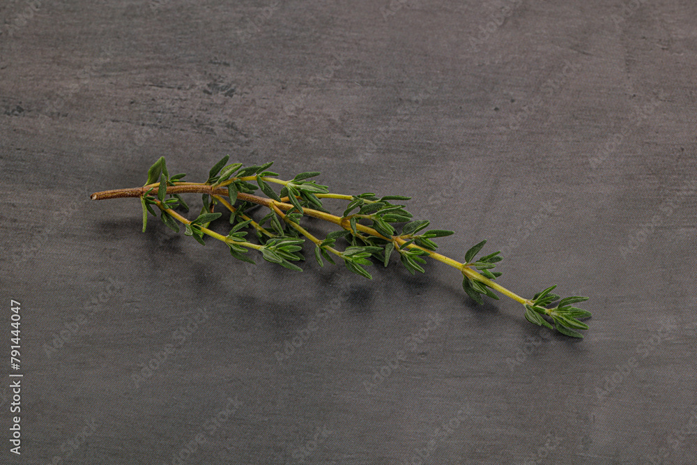Aroma seasoning thyme stem with leaves Aroma seasoning thyme stem with leaves