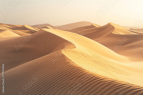 The undulating curves of desert sand dunes at dusk  with soft golden light casting long shadows