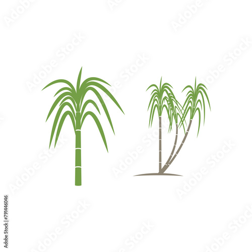 Sugarcane logo vector template symbol design