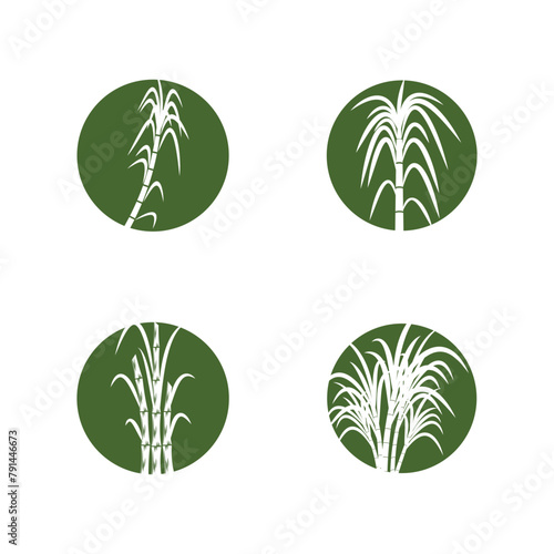 Sugarcane logo vector template symbol design