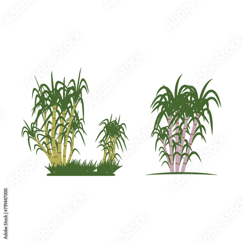 Sugarcane logo vector template symbol design