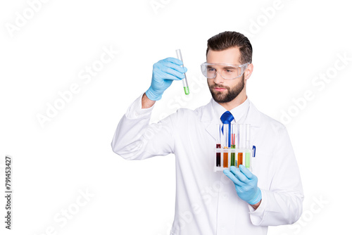 Portrait of busy concentrated scientist with stubble in white lab coat  gloves analysing  looking at  test tubes with multi-colored liquid in his arm  isolated on grey background
