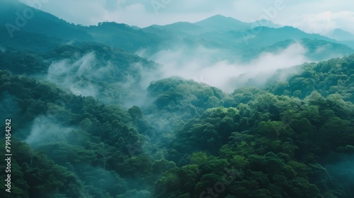 Beautiful misty mountain landscape with forest in the foreground © wanna