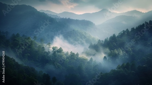 Beautiful misty mountain landscape with forest in the foreground