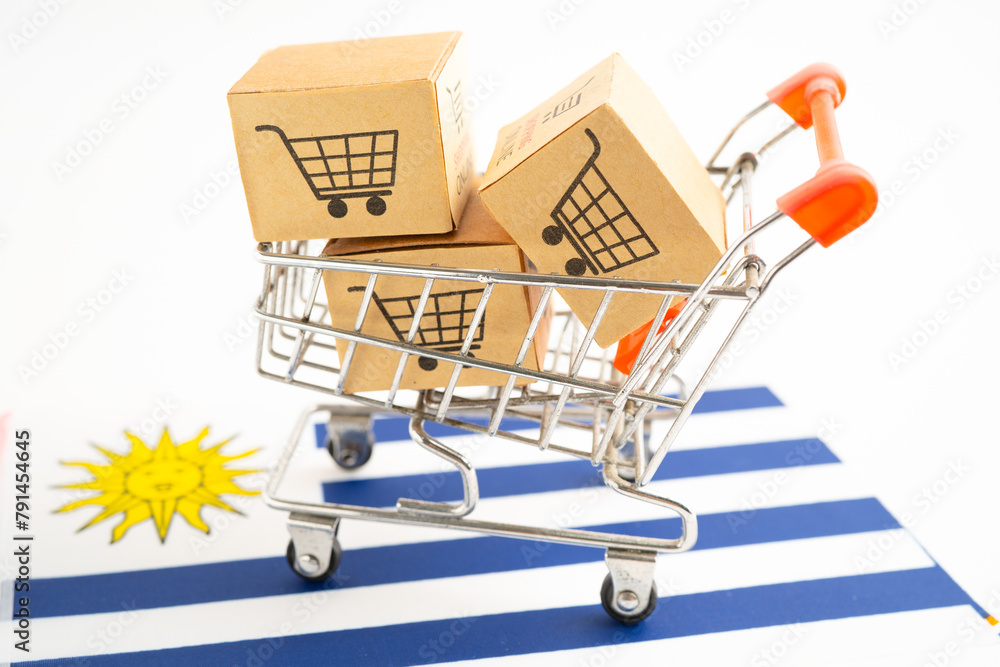 Box with shopping online cart logo and Uruguay flag, Import Export Shopping online or commerce finance delivery service store product shipping, trade, supplier.