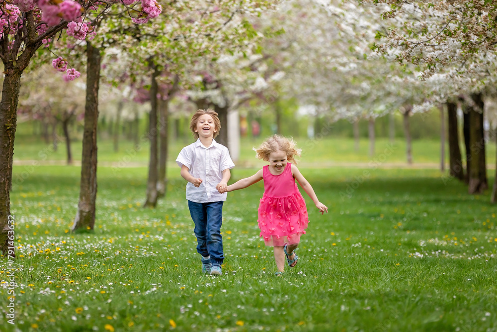 Naklejka premium Happy beautiful child, kid, playing with small beautiful ducklings or goslings, cute fluffy yellow animal birds