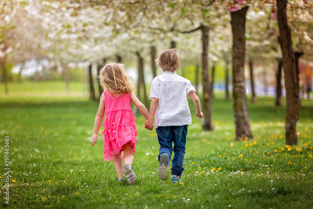 Happy beautiful child, kid, playing with small beautiful ducklings or goslings, cute fluffy yellow animal birds Happy beautiful child, kid, playing with small beautiful ducklings or goslings, cute fluffy yellow animal birds