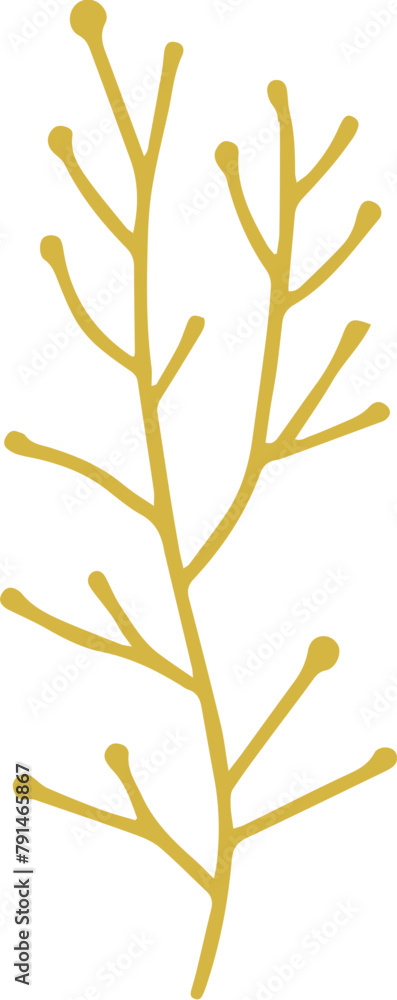 Fototapeta premium aesthetic plant wedding outline decoration